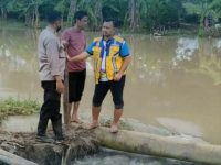 Tanggul Sungai Jebol, Kapolsek Karangtengah Melaksanakan Peninjaun Guna Penanggulangan