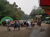 Trend Masyarakat Berkunjung Ke Taman Safari Indonesia Di Saat Hari Raya Idul Fitri