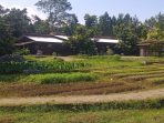 Taman Agrowisata dan edukasi bagi anak usia dini Kuntum Farm field sangat layak dikunjungi