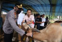 Kapolres Sukabumi Kota Polda Jabar AKBP SY. Zainal Abidin bersama Walikota Sukabumi H. Achmad Fahmi, mengecek hewan ternak milik H. Ichwan Hamid di Jalan Pajagalan Warudoyong Sukabumi. [foto: dok./bdhmsjbr] 