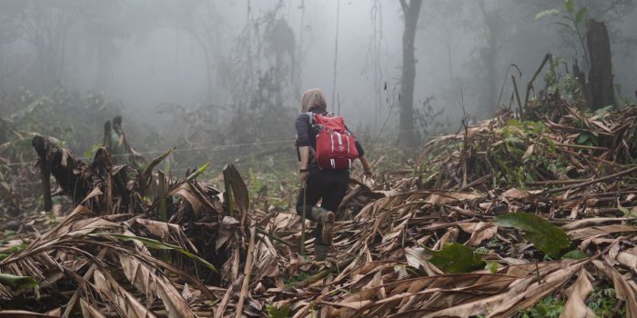 Pengrusakan Hutan Di Kaki Gunung Cakrabuana, Dialih Fungsikan Jadi Perkebunan Kopi