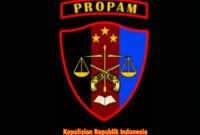 Divisi Propam Polri