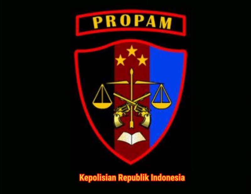 Divisi Propam Polri