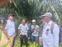 Kejagung Tinjau Objek Lahan Mangrove Berubah Jadi Perkebunan Sawit
