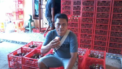 Jhonson E Hutagalung, Melalui Bisnis Cuan Buah Manggis, Tembus Pasar Ekspor Negara China