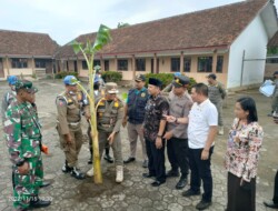 Segel Dibuka !!! Belum Panen Pisang Kok Udah Dijabut, Ini Kata Kasatpol PP Pati