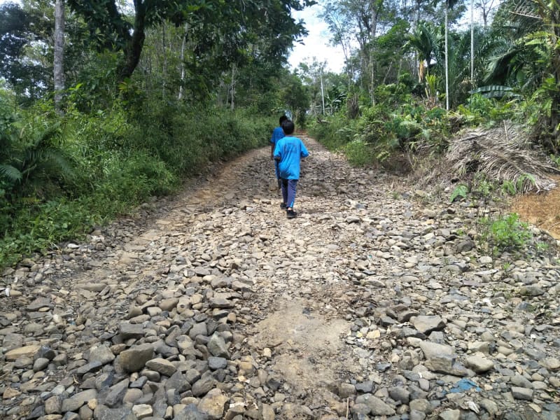 Warga 5 Dusun Di Desa Batu Horing, Keluhkan Jalan Rusak, Hasil Tani Di Jual Ke Daerah Tetangga