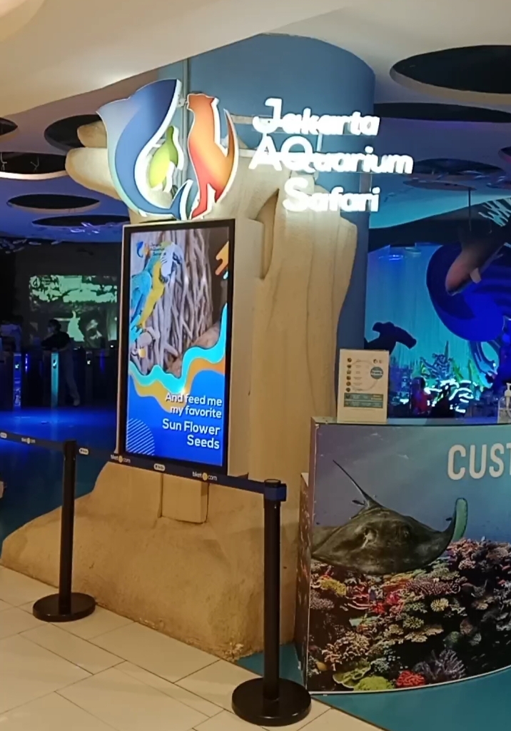 htm jakarta aquarium safari