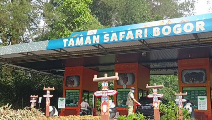 Taman Safari Indonesia berikan pengalaman edukatif bagi wisatawan Mancanegara maupun Domestik