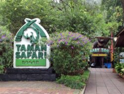 Taman Safari Indonesia Berikan Pengalaman Edukatif Bagi Wisatawan Mancanegara Maupun Domestik
