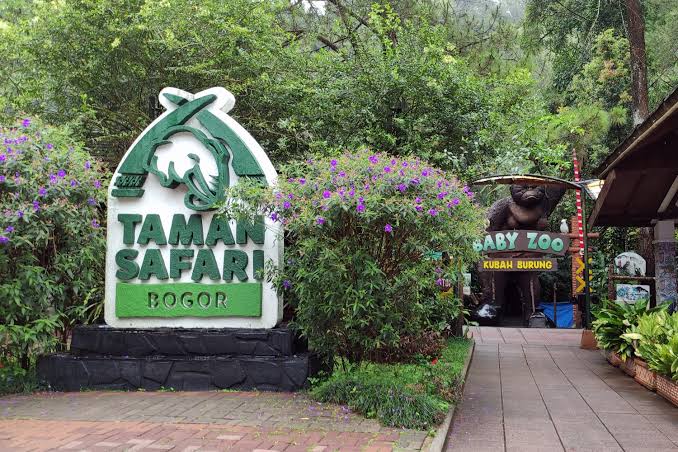 Taman Safari Indonesia Berikan Pengalaman Edukatif Bagi Wisatawan Mancanegara Maupun Domestik