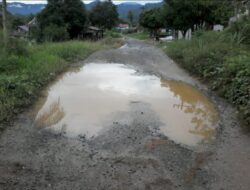 Keluhan Warga Desa Terabaikan Selama Tahunan, Kondisi Jalan Di Desa Aek Garut, Rusak Parah