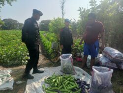 Sat Brimob Polda Jabar Cek Langsung Lokasi Ketahanan Pangan Di Desa Winong