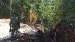 Komandan SSK TMMD Ke-122 Kodim 1805/Raja Ampat Tunjukkan Kepemimpinan di Tengah Terik, Pimpin Langsung Proyek Fisik di Saporkren