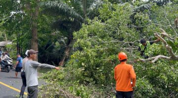 Drama Evakuasi Ditengah Liburan Nataru: Tim Gabungan Berjuang Buka Jalur Wisata Pengandaran