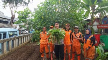 Bhabinkamtibmas Kelurahan Pademangan Timur Panen Kangkung Bersama PPSU