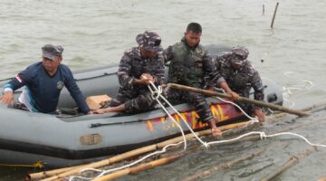 Yonmarhanlan III Bongkar Pagar Laut di Tanjung Pasir, Libatkan 25 Prajurit Hiu Perkasa