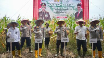 Wakapolda Jabar Pimpin Panen Raya Jagung Di Sumedang, Dorong Swasembada Pangan 2025