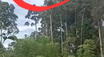 TPNPB ( OPM ) Papua, Klaim Penembakan Pesawat Komersil Di Yahukimo