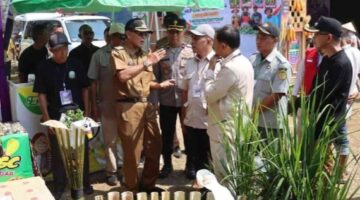 Kapolres Ciamis Raih Pin Emas KTNA, Sinergi Polri Dan Petani Kian Kokoh.